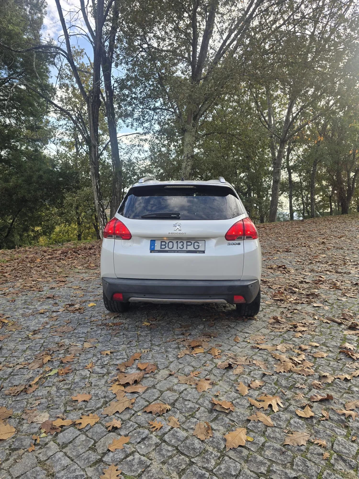 Peugeot 2008 1.2 Allure Crossway - Foto 9